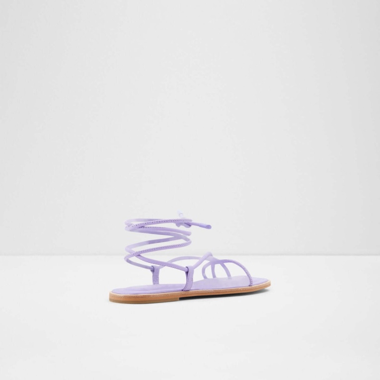 Aldo Adravia Moda Morada