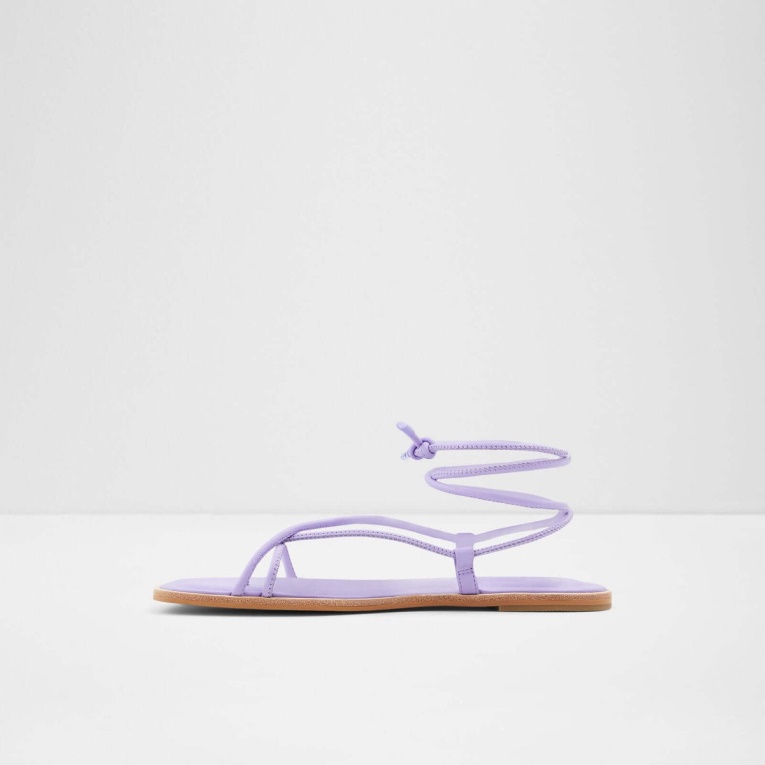 Aldo Adravia Moda Morada