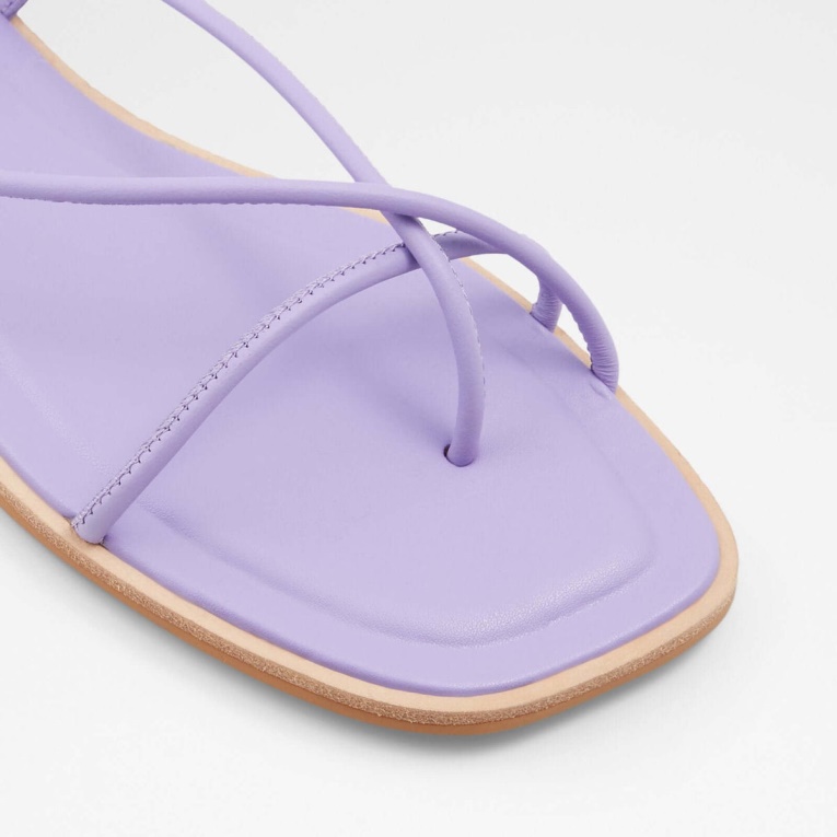 Aldo Adravia Moda Morada