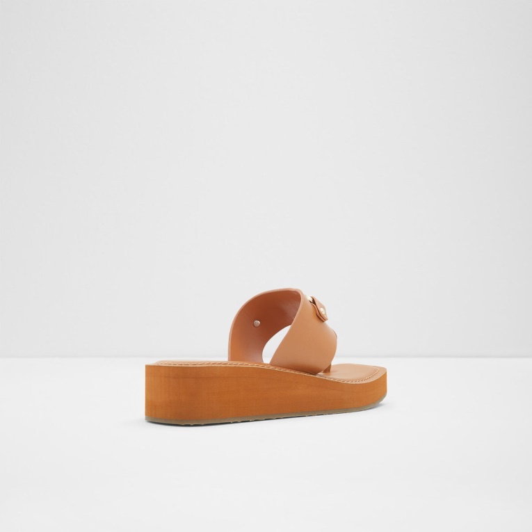 Aldo Fashion Marrón Medio Junto A La Piscina