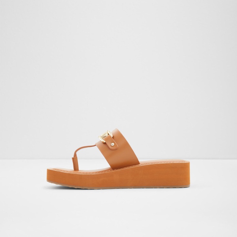 Aldo Fashion Marrón Medio Junto A La Piscina