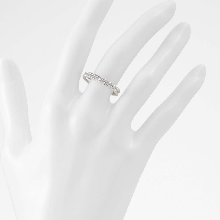 Antidafne Plata Aldo Moda