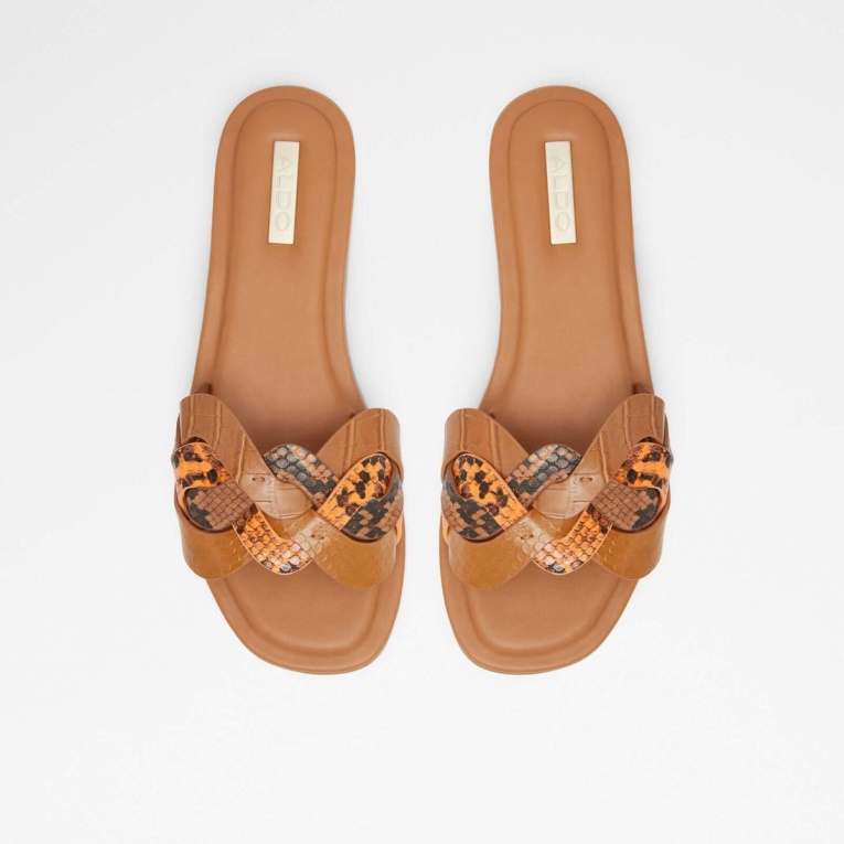 Moda Aldo Brown Multi Adwilaviel