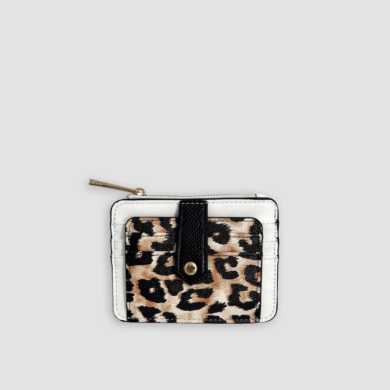 Moda Aldo Cerragan Aldo Moda