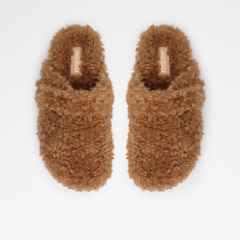 Wfh Aldo Moda Marrón Medio