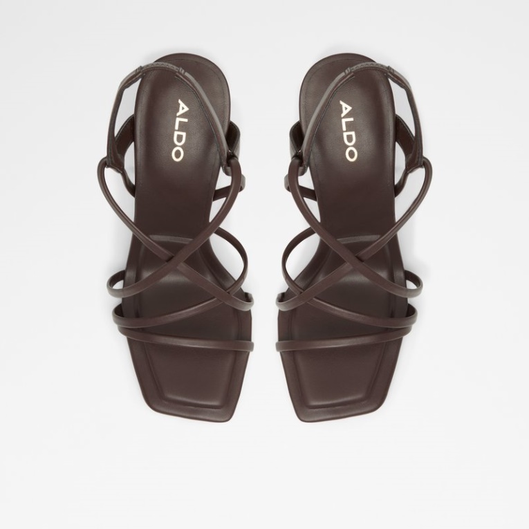 Amilia Marrón Oscuro Moda Aldo