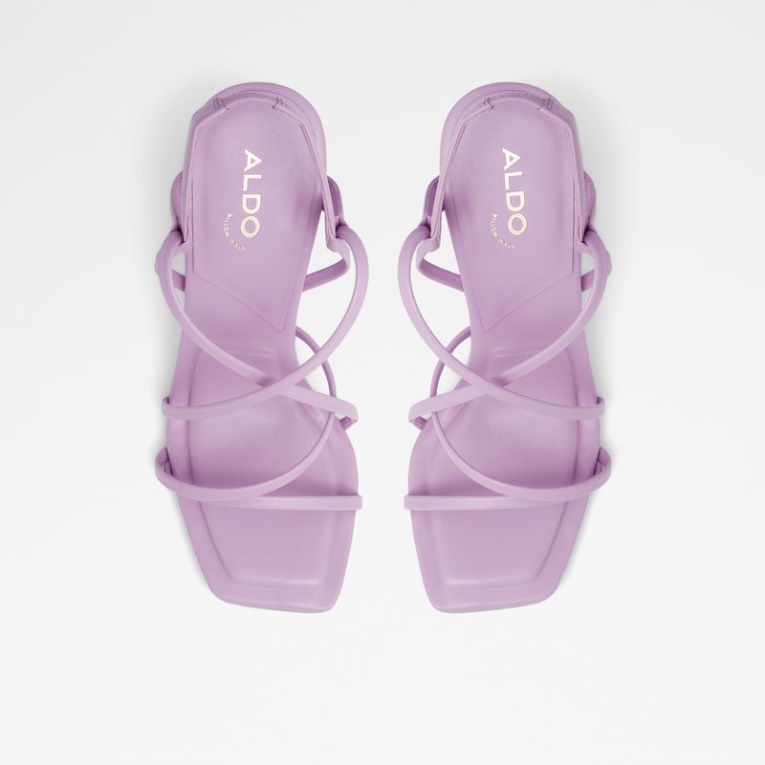 Amilia Púrpura Brillante Moda Aldo