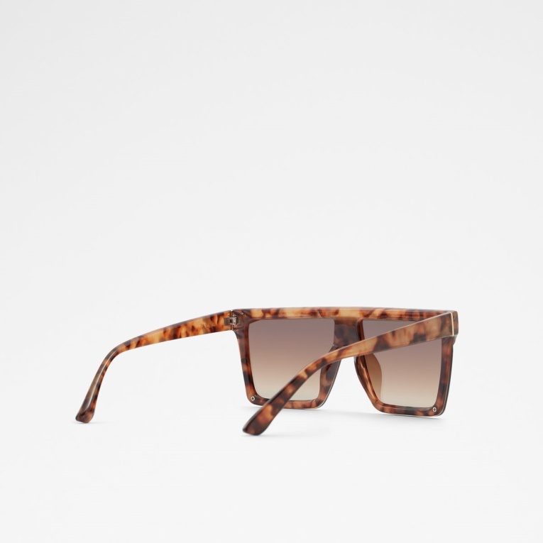 Moda Aldo Brightside Escudo Gafas De Sol Marrones