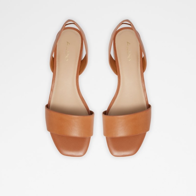 Doredda Aldo Moda Coñac