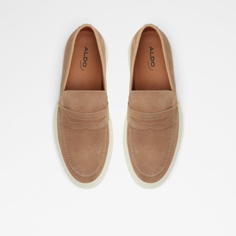 Moda Marrón Aldo Droarien