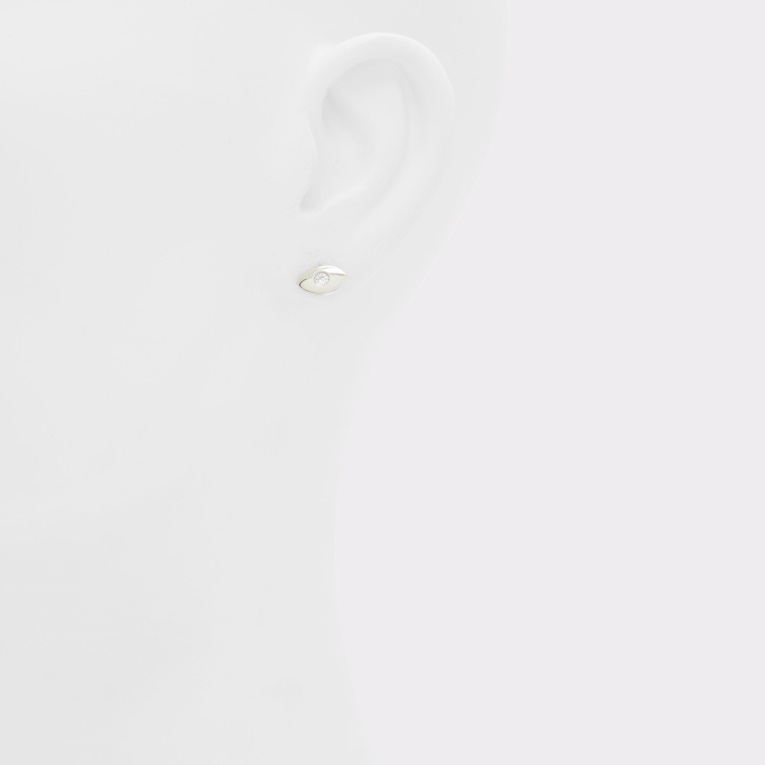 Fashion Silver-clear Multi Aldo Ebariel