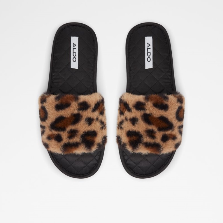 Marrón Aldo Moda Miedo