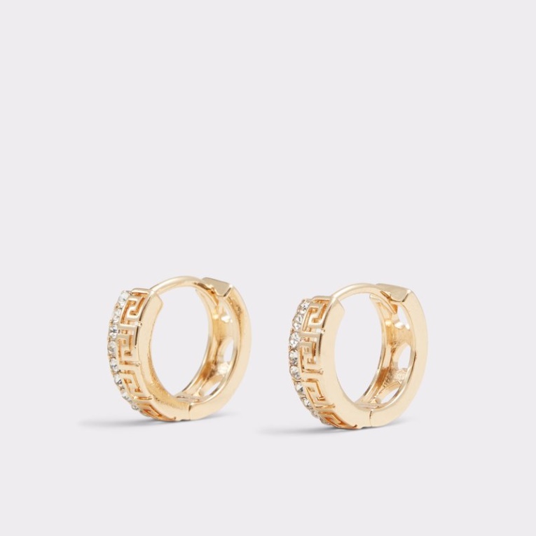 Fashion Gold-clear Multi Fyg Aldo