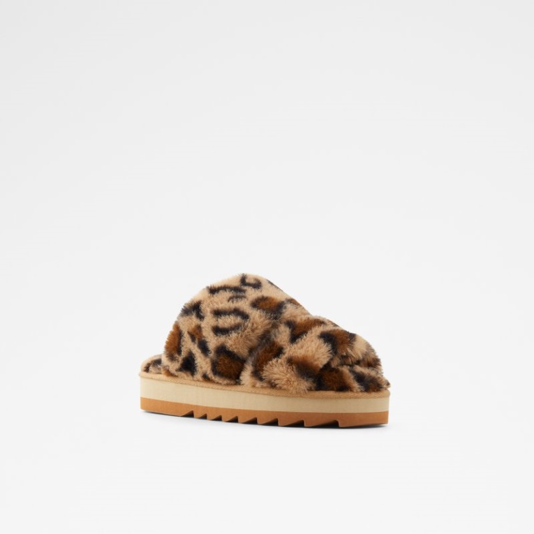 Brown Gaismas Aldo Moda