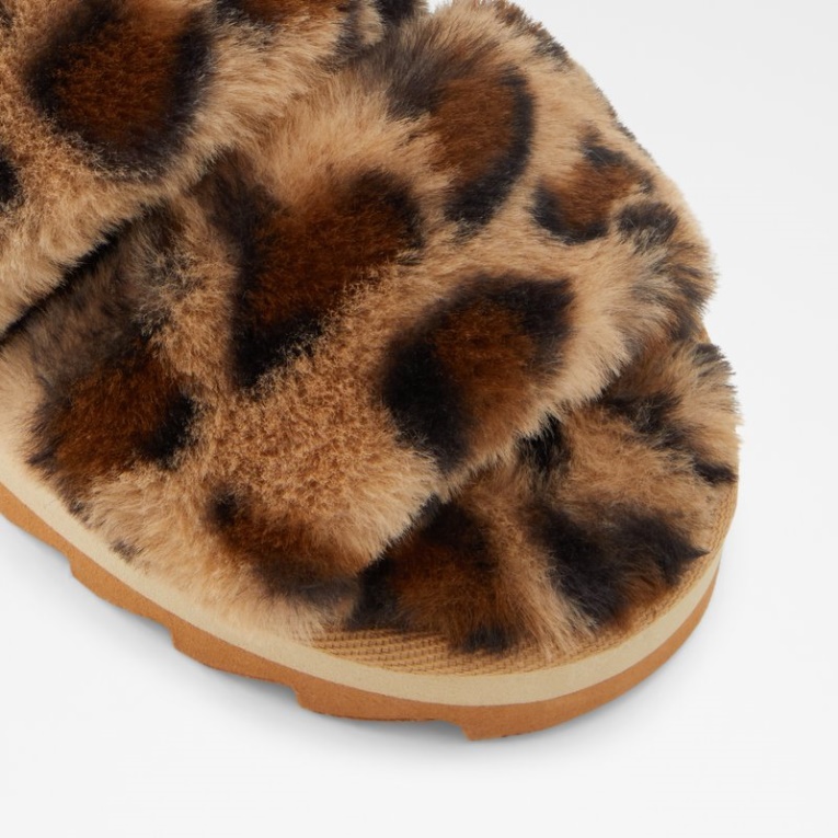 Brown Gaismas Aldo Moda