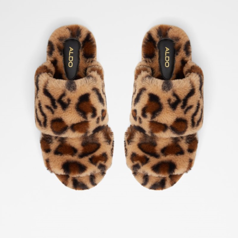 Brown Gaismas Aldo Moda