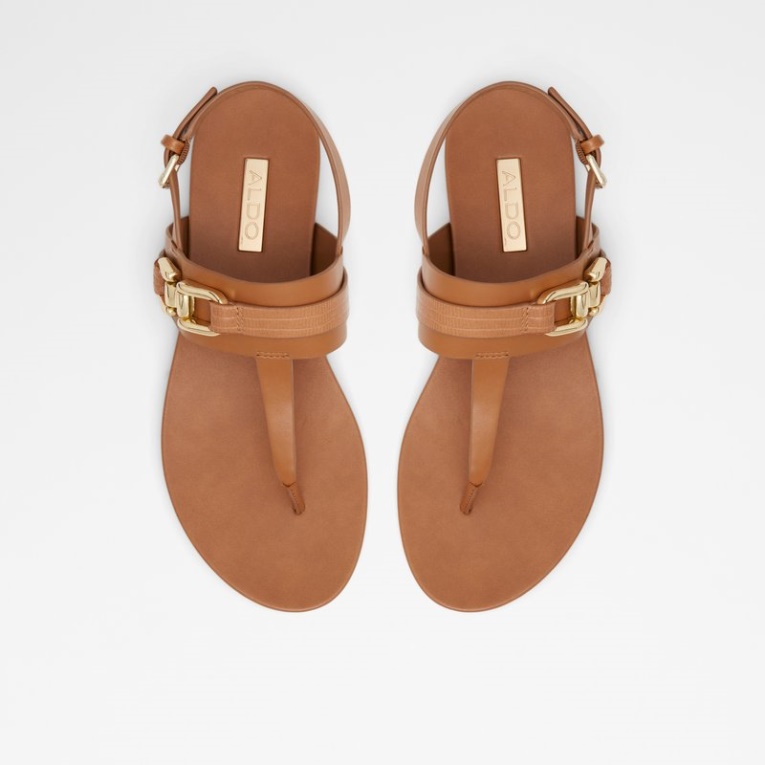 Marrón Medio Gannamaryn Fashion Aldo