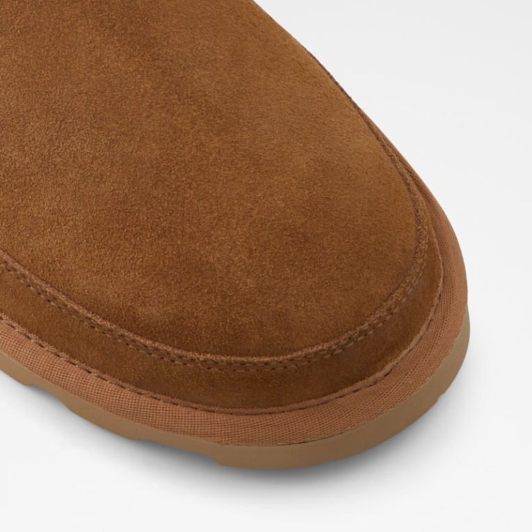 La Moda Del Coñac Aldo Italio