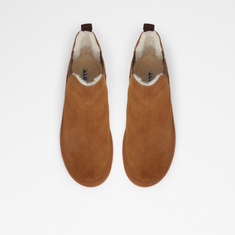 La Moda Del Coñac Aldo Italio