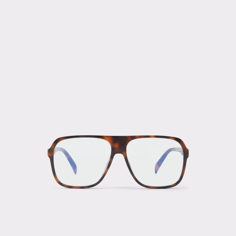 Brown Midholm Moda Aldo