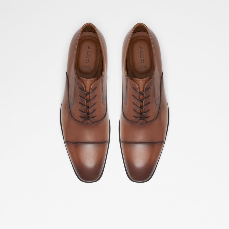 Coñac Miraylle Moda Aldo