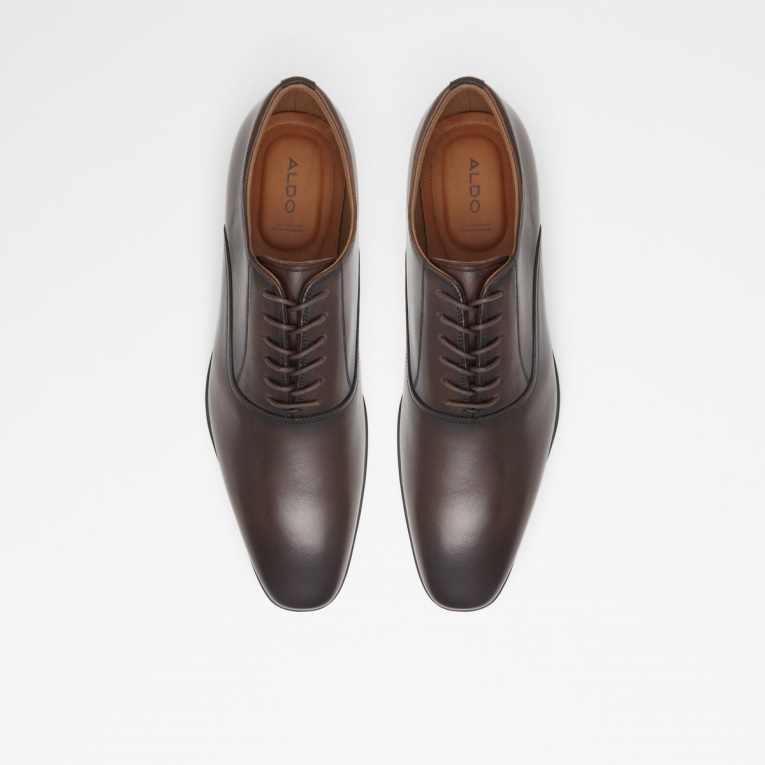 Zapato Nathon Oxford Aldo Moda Marrón Oscuro