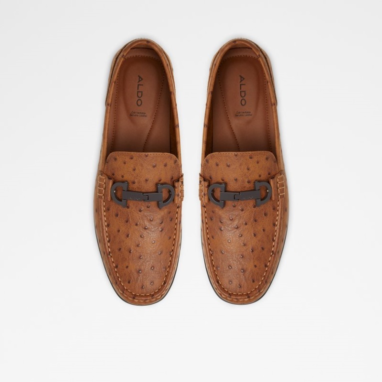 Aldo Fashion Marrón Medio Orlovoflex