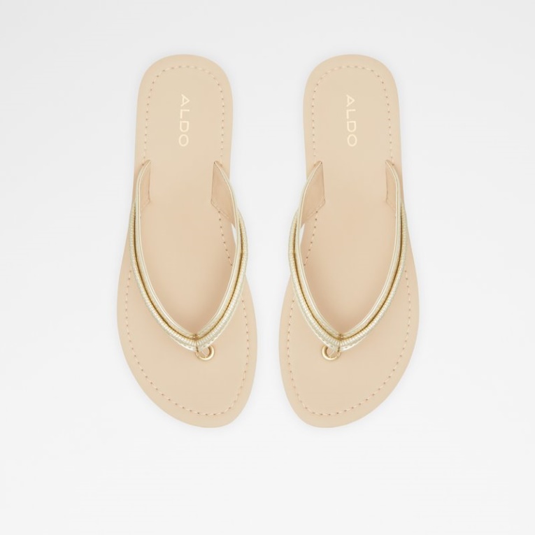 Champán Polo Aldo Moda