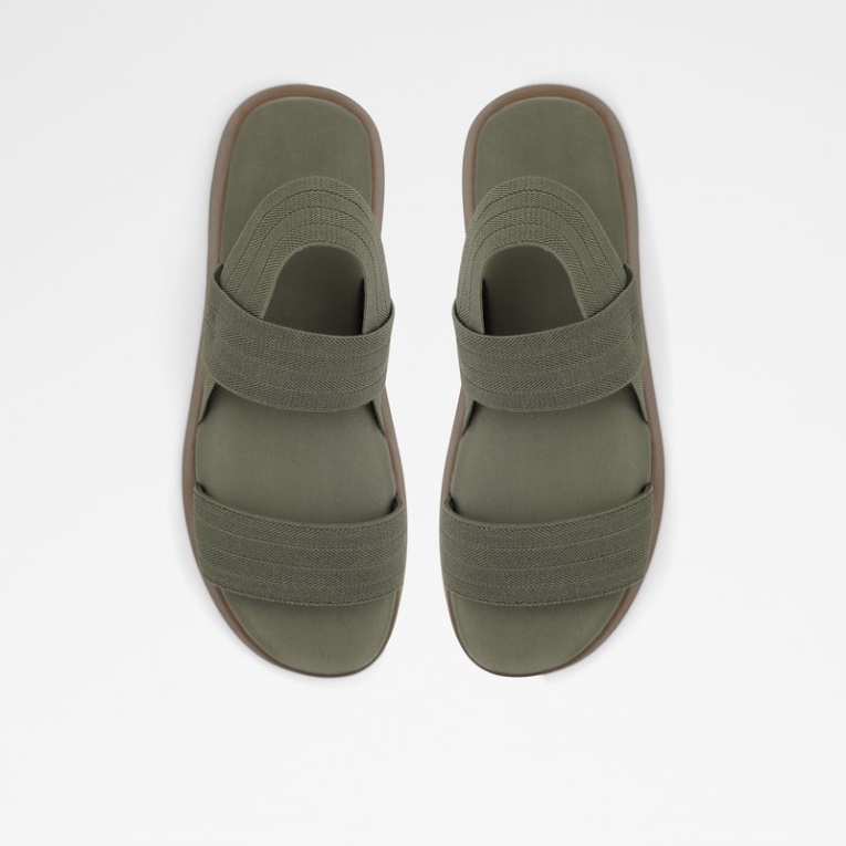 Caqui Aldo Fashion Reposa