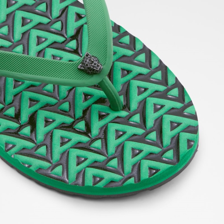 Moda Aldo Verde Rickle