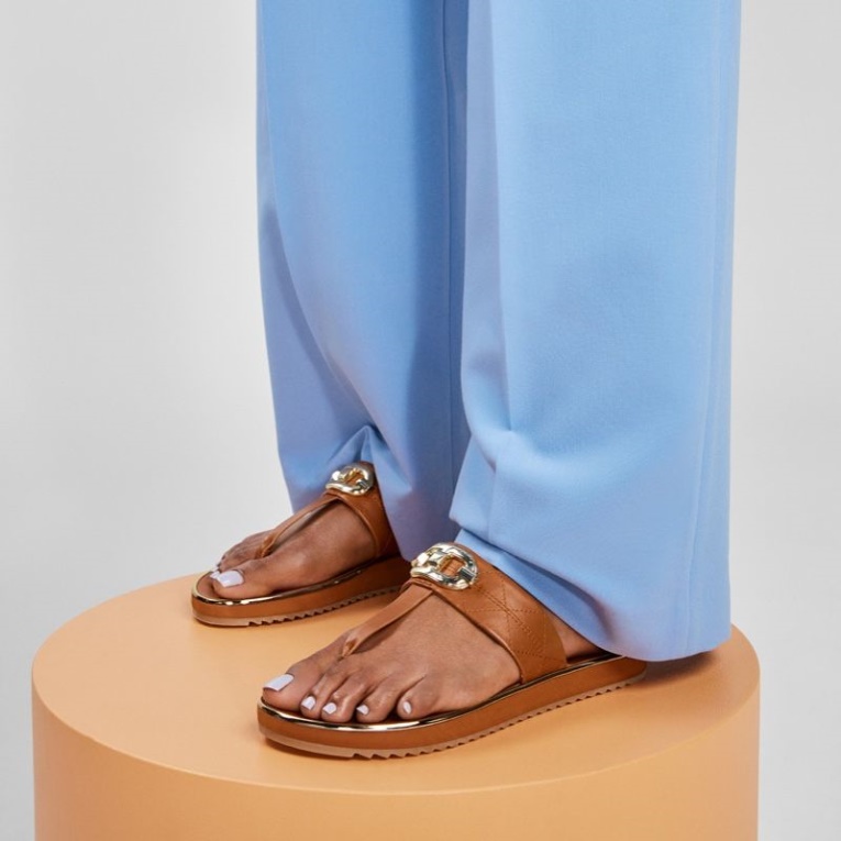 Moda Marrón Medio Aldo Searene