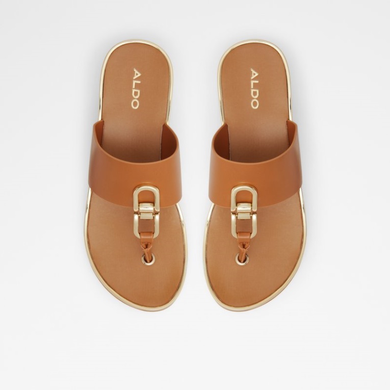 Marrón Medio Toea Fashion Aldo