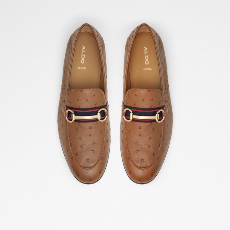 Moda Aldo Brown Trywen