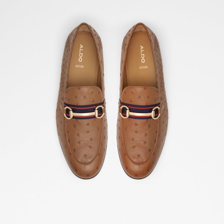 Trywen Mocasín Moda Marrón Aldo