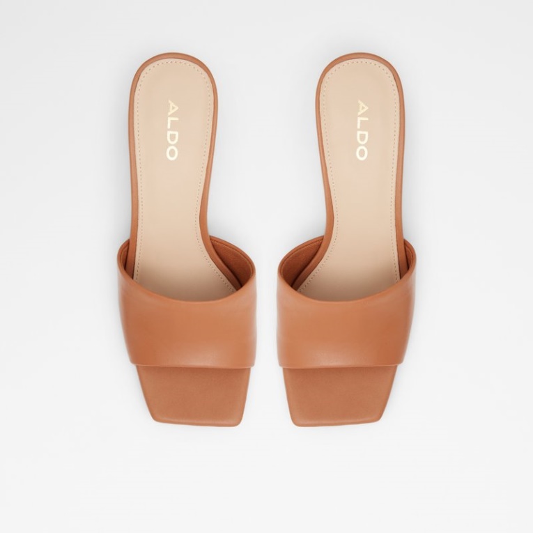 Moda Coñac Velalith Aldo