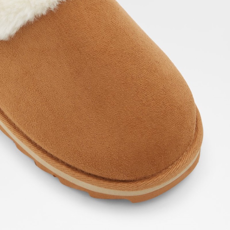 Coñac Weidia Moda Aldo