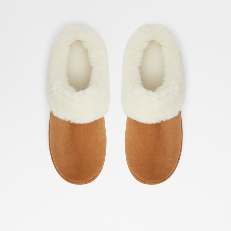 Coñac Weidia Moda Aldo