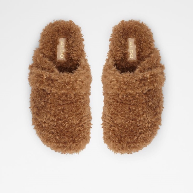 Marrón Medio Fashion Aldo Wfh