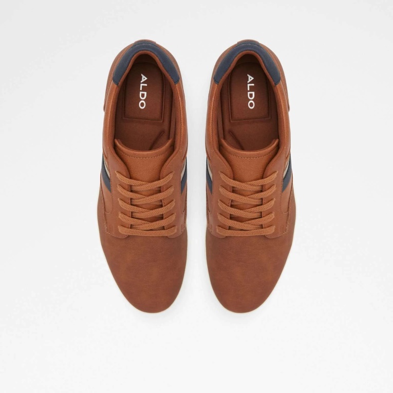 Aldo Moda Marrón Tiaven