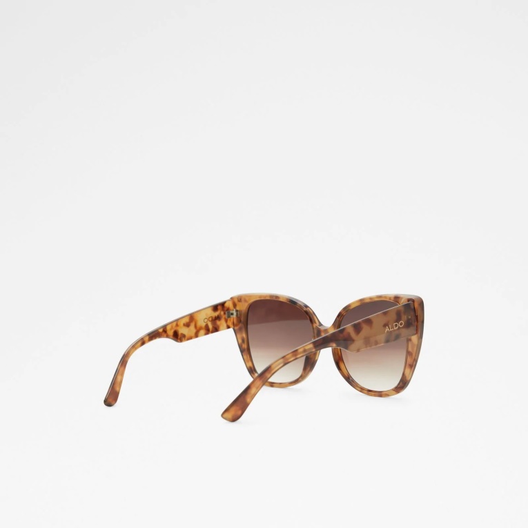 Crericlya Aldo Moda Marrón