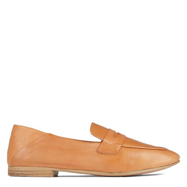 Moda Med Marrón Aldo Aldo Aldo Adelaide Ld24