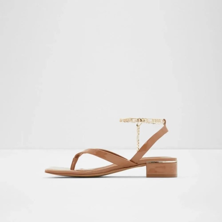 Sandalias De Mujer Fashion Beige Oscuro Con Tacón Cuadrado Aldo Agralella