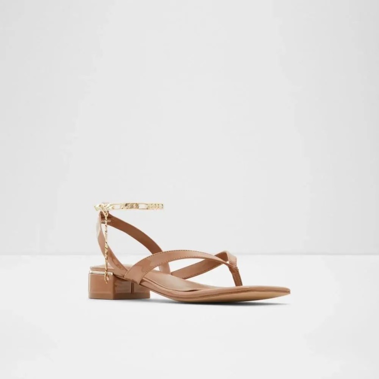 Sandalias De Mujer Fashion Beige Oscuro Con Tacón Cuadrado Aldo Agralella