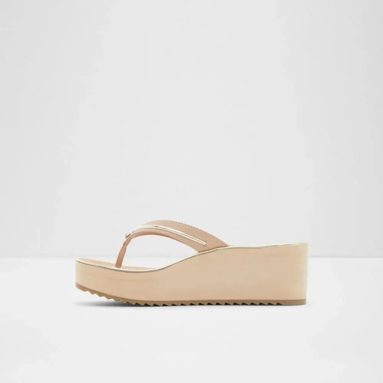 Bone Calidan Thong Beach Sandalia Con Cuña Para Mujer Moda Aldo