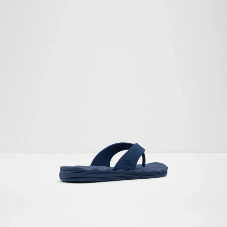Navy Haciendo Men's Thong Sandal Aldo Fashion