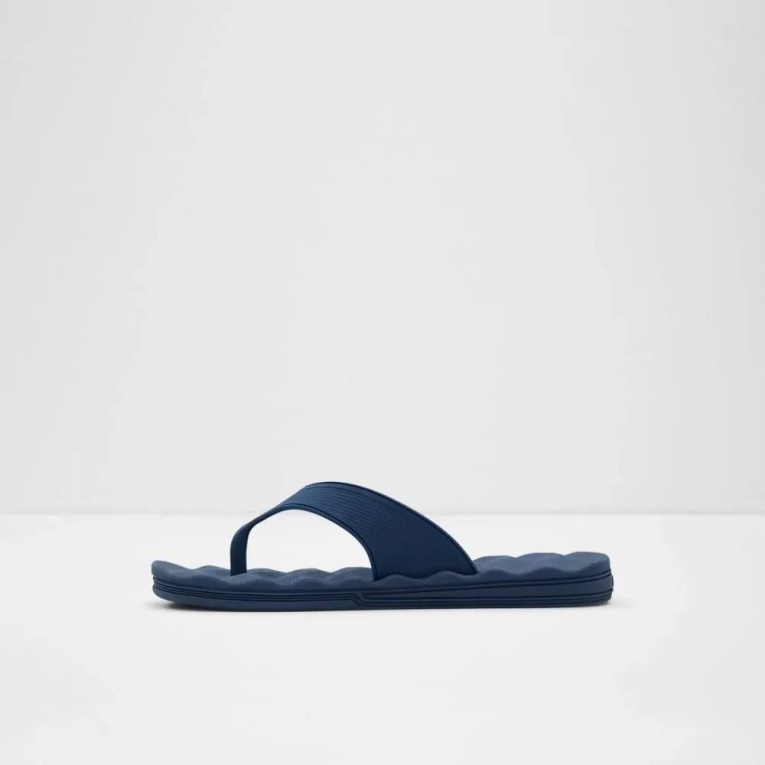 Navy Haciendo Men's Thong Sandal Aldo Fashion