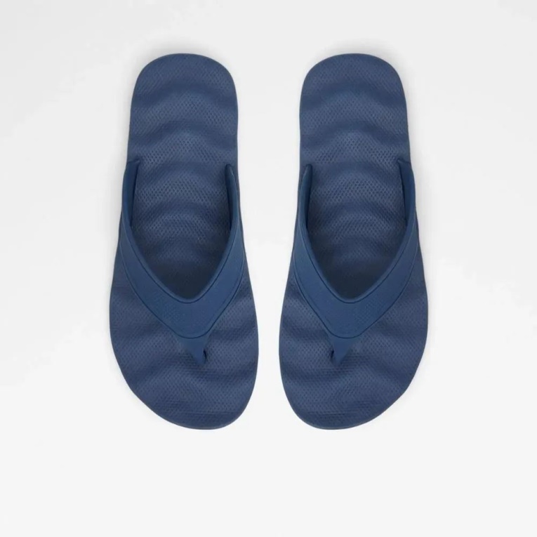 Navy Haciendo Men's Thong Sandal Aldo Fashion