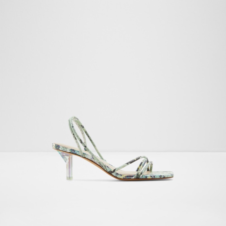 Pitón Negra Moda Aldo