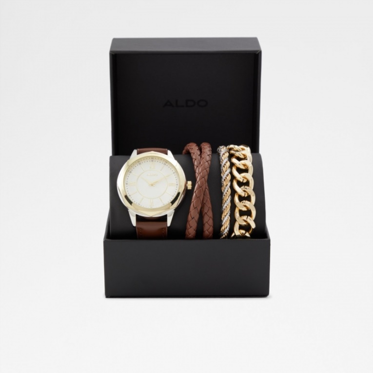 Relojes Aldo Brown Fashion Richard