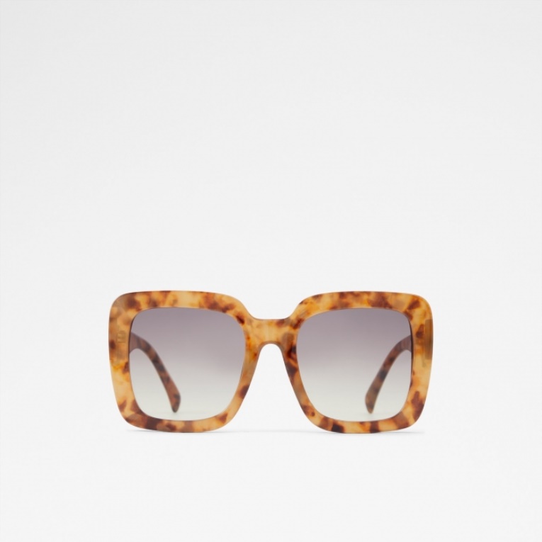 Thalin Gafas De Sol Moda Marrón Aldo